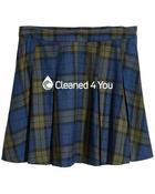 Pleated Skirt Press image