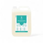 Evans Glasswash Extra 5L