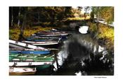 Ross Castle Killarney image