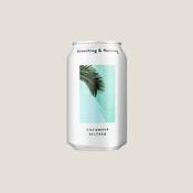 Something &amp; Nothing Seltzer - Cucumber