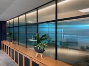 Reeded Privacy Film