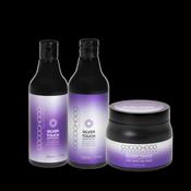 Silver Touch 500ml Shampoo, Conditioner and Mask Set image