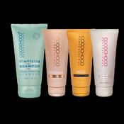 Starter Kit 6: 100ml Keratin Original, Gold, Hair Botox, 150ml Clarifying Shampoo
