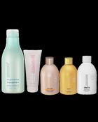 Starter Kit 4: 250ml Onyx, Keratin Original &amp;amp; Gold, 100ml Hair Botox, 400ml Clarifying Shampoo