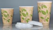 12 oz Compostable - Takeaway Cups
