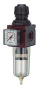 FILTER/REGULATOR + GAUGE image