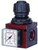 1/2" PRESSURE REGULATOR + GAUGE AH117002 image