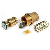 Kaeser Minimum Pressure Valve Repair Kit image