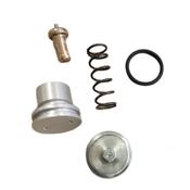 ALUP Thermostat Valve Kit 2120022355