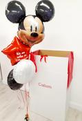Mickey or Minnie Mouse (Disney Reveal) Balloon Bunch image