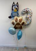 Bluey Balloon Bunch Package