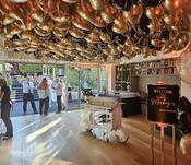 Latex Ceiling Balloons image