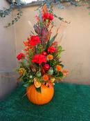 Pumpkin [ 2 ]