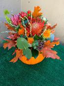 Pumpkin { 3 }