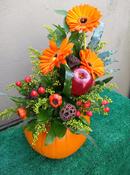 Pumpkin [ 4 ]