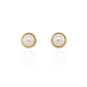 9ct Yellow Gold Culture Pearl Stud Earrings image