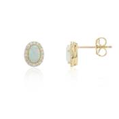 9ct Yellow Gold Created Opal Cluster Earrings image