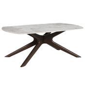 Aster Stone Coffee Table image