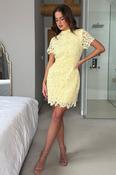 Maryam Cap Sleeve High Neck Lace Mini Dress Yellow image