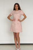Babett Short sleeve Mini Dress Pink image