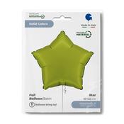 Star 18" Satin Matcha Latte image