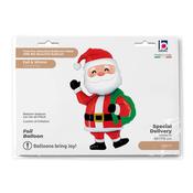 Special Delivery Santa 66" image