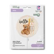 R18 Hello Baby Teddy Bear