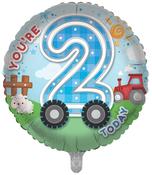 Age 2 Male image