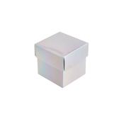 Iridescent Favour Boxes - Pack of 10 image