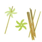 Tropic Palm Leaf Paper Straws - Pack of 24 image