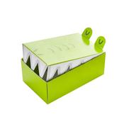 Crocodile Mini Cake Boxes - Pack of 10