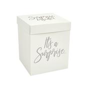 Silver Surprise In A Box Set