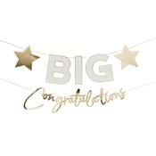 Big Congratulations Card Banner x2 2.5m image