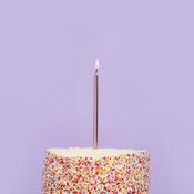 Rose Gold  Skinny Candles &amp; Holders 12 Pack image