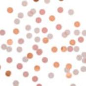 Rock 'N' Rose' Disc Confetti 15g image