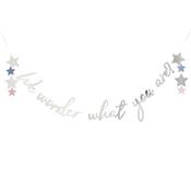 Silver 'We Wonder What You Are?' Card Banner 2m