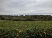 1.75 acre Site At Barefield, Ennis, Co. Clare