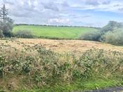 Ballybreen, Kilfenora, Co. Clare
