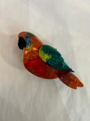 Clawclip - Parrot
