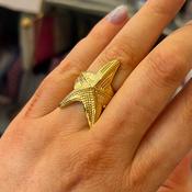 Jewelled Ring image