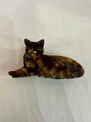 Cat clawclip