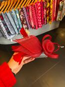Sienna - Red image