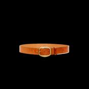 Isabel Marant Dara Belt - Cognac image