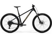 BIG TRAIL 300 - 2026