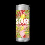 Redcurrant Elderflower Lemon Sour!