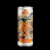 Peach Kombucha