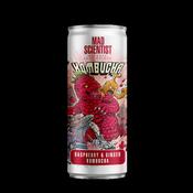 Raspberry &amp; Ginger Kombucha