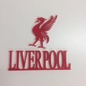 Red Acrylic Liverpool Craft Pack  5cm each(PK OF 5)