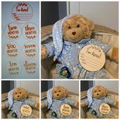 BABY MILESTONE CIRCLES (13 PIECES INCLUDING BABY DETAILS KEEPSAKE)