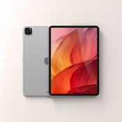 Apple iPad Pro 12.9" 5th Gen (2021)
